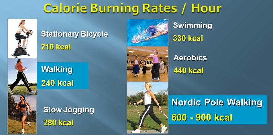 Nordic Pole Walking calorie burning rates