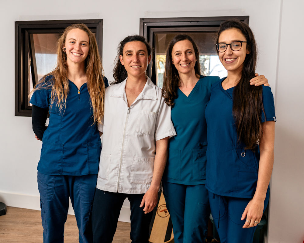 Physiotherapists Physiotherapists
