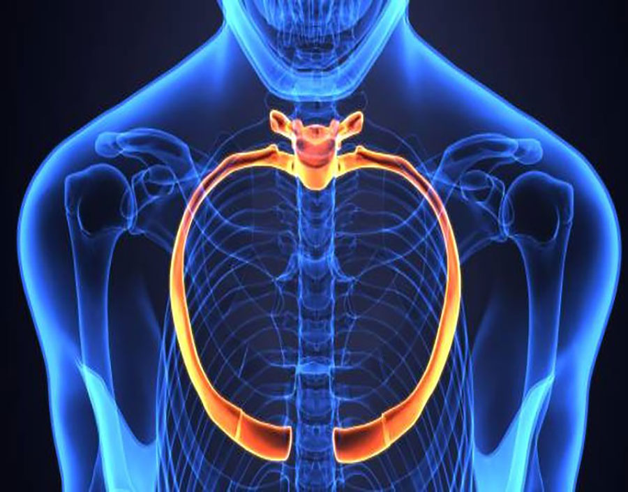 ConnectTherapy™ and the Thoracic Ring Approach™ ConnectTherapy™ and the Thoracic Ring Approach™