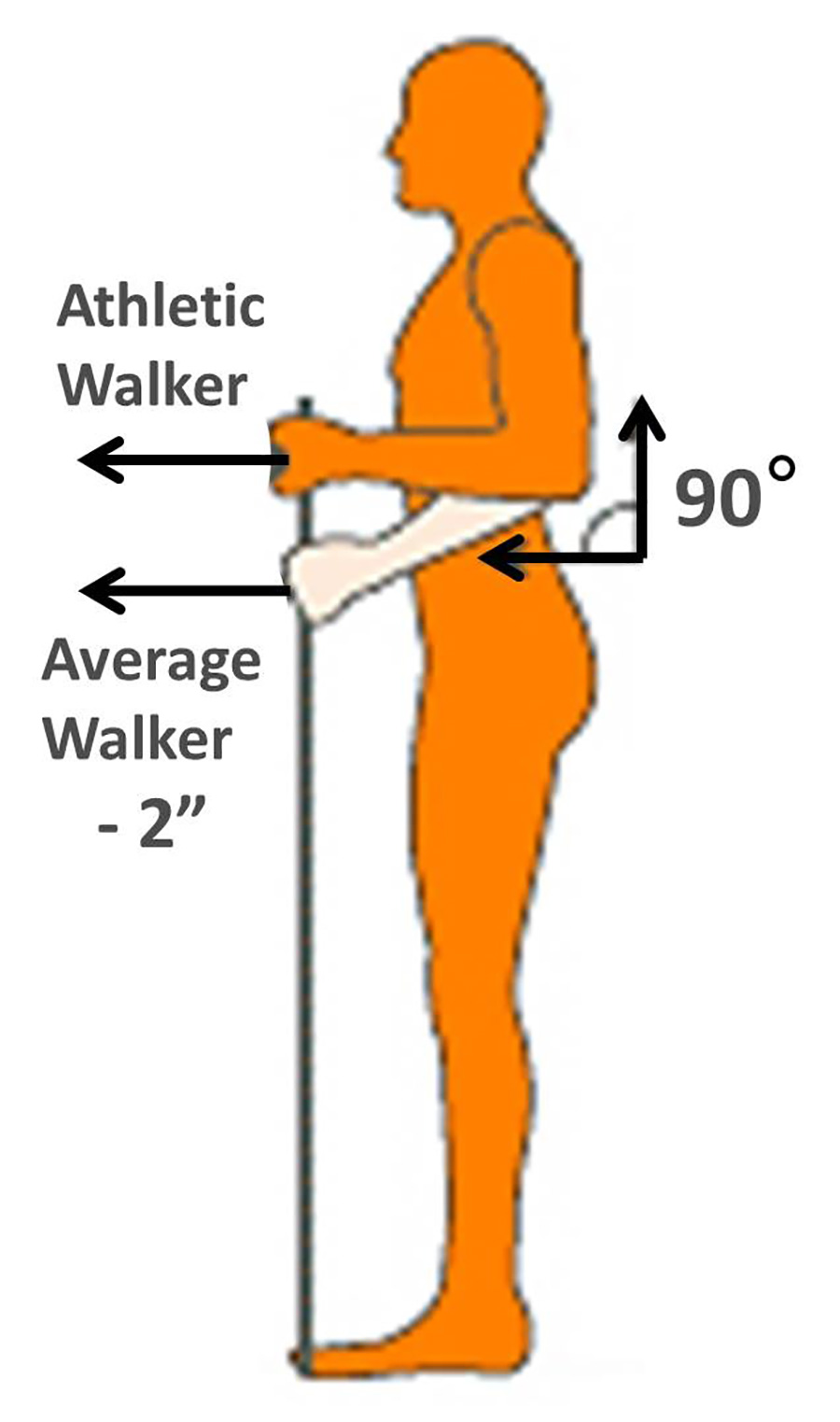 How to set up your poles height